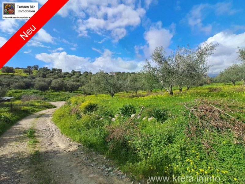 KALIVIA Kreta, Kalivaia Olivenhain 55 Bäume Ein persönlicher Rückzugsort inmitten der Natur Grundstück kaufen
